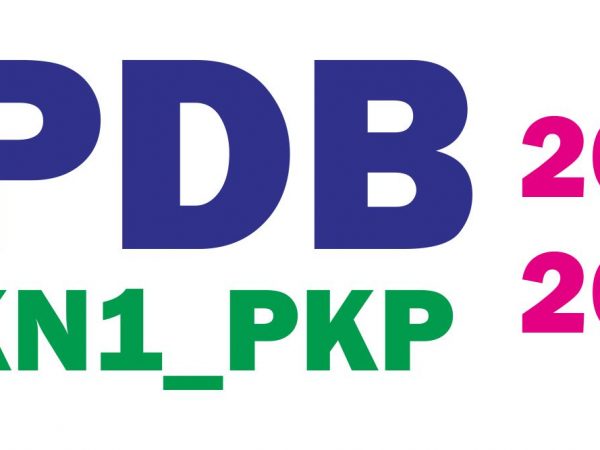 PPDB Jalur Afirmasi Tahun Ajaran 2022/2023 – Hari 2